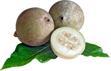Charger l'image dans la galerie, Fruit Genipa americana qui sert à faire e gel de jagua . Fruit d'Amérique latine